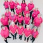 A photo taken from above showing all of the volunteers