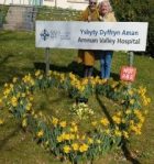 2 people standing behind a flower bed of daffodils planted in the shape of a large heart