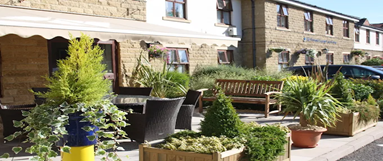 Photograph showing small trees and shrubs at the entrance to the care home