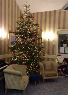 A picture of a large, beautifully lit and decorated Christmas tree in the lounge area of the care home
