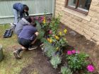 A photo of three people planting flowers in a border